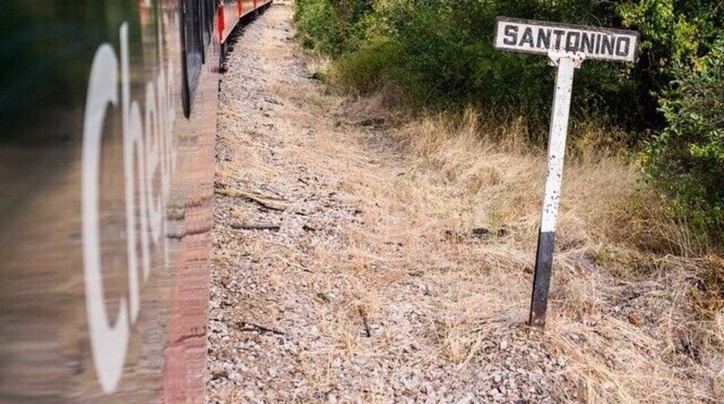 Aboard on El Chepe through Copper Canyon. The most beautiful trainride - and we love the old signs with names of the states and towns on the way! #coppercanyon #canyon #Mexico #ElChepe #train #nature #mountains #twohobos #traveltheworld #exploretheworld #igtravel #TroveOn #adventure #TroveOn