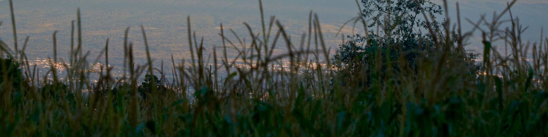 La malinche, mexican volcano in the state of tlaxcala
