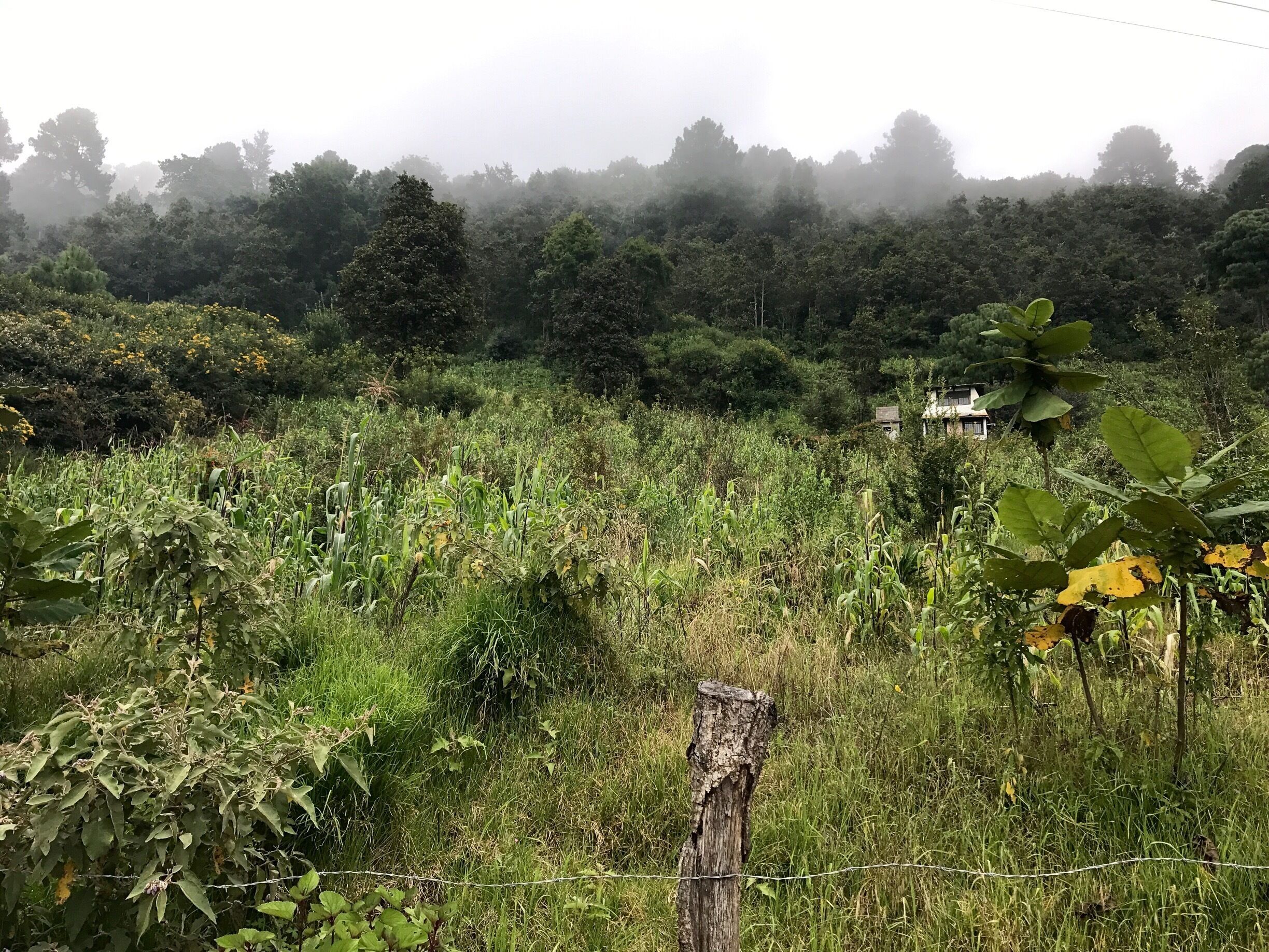 
Within 20 minutes everything was white as the clouds engulfed the mountains. #offthetrail #lifeatexpedia