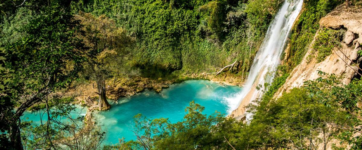 A turquoise waterfall cascading into a clear pool surrounded by dense green forest.