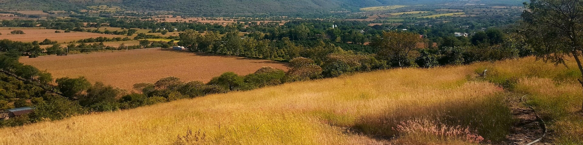 One of those Mexican small towns where you can experience the good old days. Not for long though.