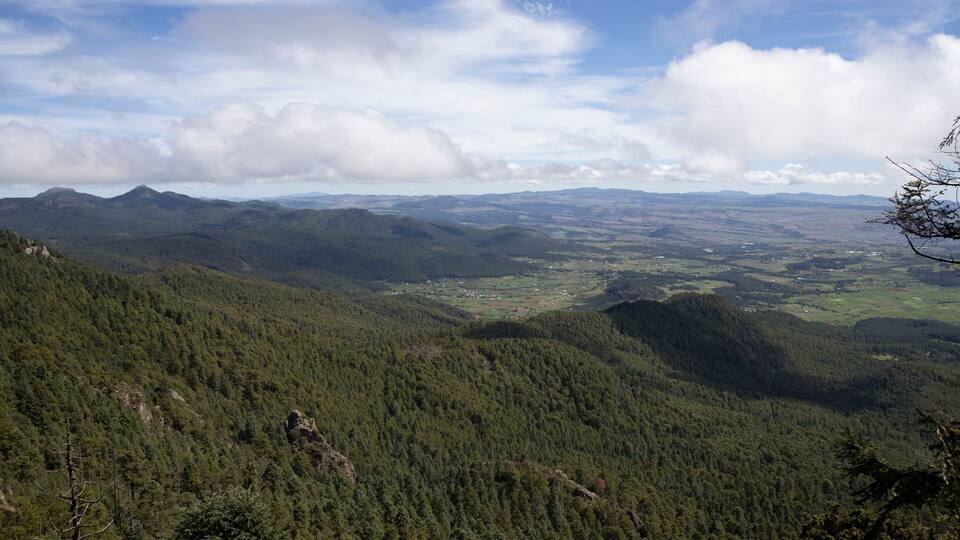 A mountainous landscape with dense forests and a valley below.