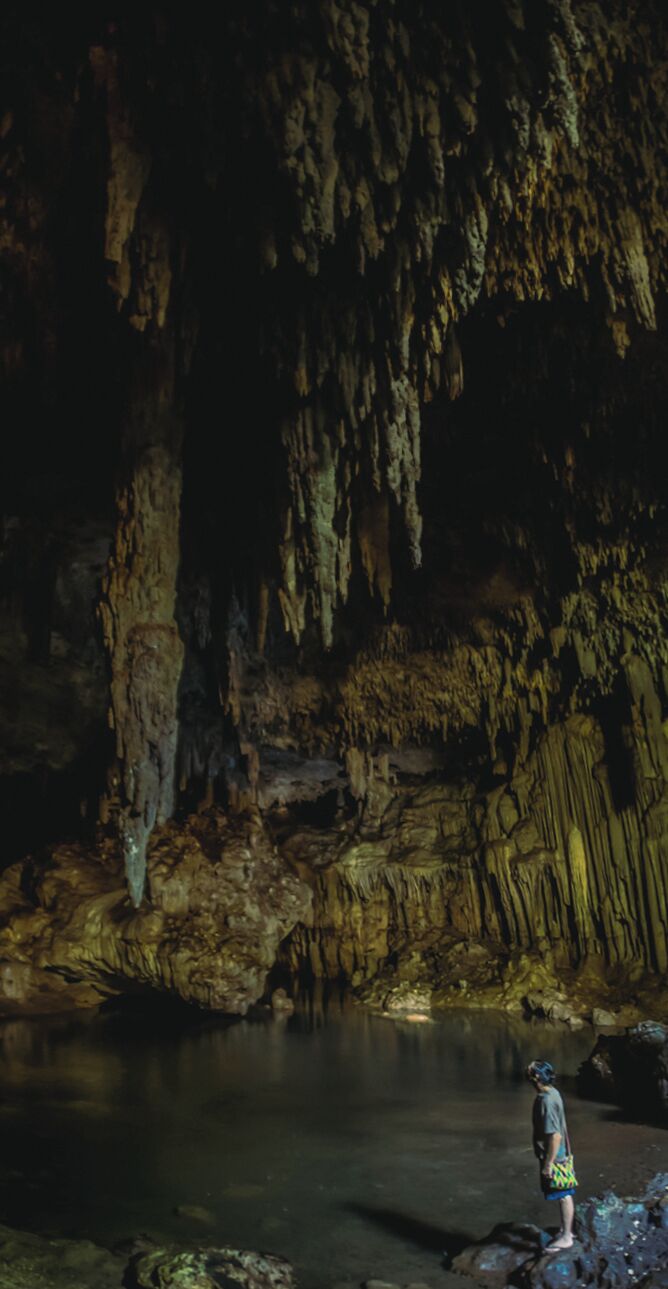 Huge stalactite found in Choj Ha, a cenote near the mayan town of Xcan.