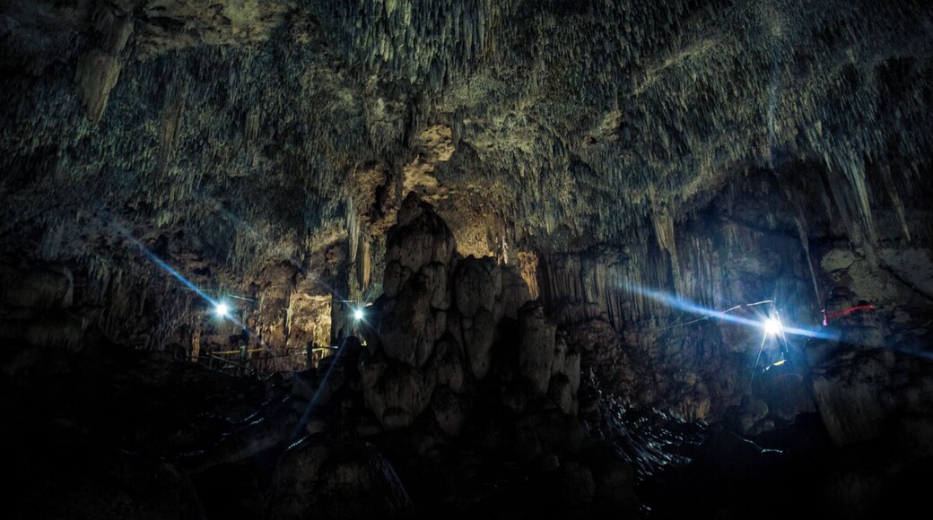 Just one look inside the Choj Ha cenote was all I needed to place it in the No. 1 spot in my list of All-Time Favorite Cenotes.
A massive cave full of columns, stalactites and stalagmites, with a beautiful area for swimming and another one for cave diving.
Even though it is located around 30 minutes away from Valladolid, it is a fairly unknown cenote managed by a small mayan community.
Definitely worth the ride if you're looking for a really interesting place off the beaten path.