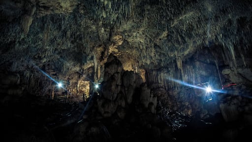 Just one look inside the Choj Ha cenote was all I needed to place it in the No. 1 spot in my list of All-Time Favorite Cenotes.
A massive cave full of columns, stalactites and stalagmites, with a beautiful area for swimming and another one for cave diving.
Even though it is located around 30 minutes away from Valladolid, it is a fairly unknown cenote managed by a small mayan community.
Definitely worth the ride if you're looking for a really interesting place off the beaten path.
