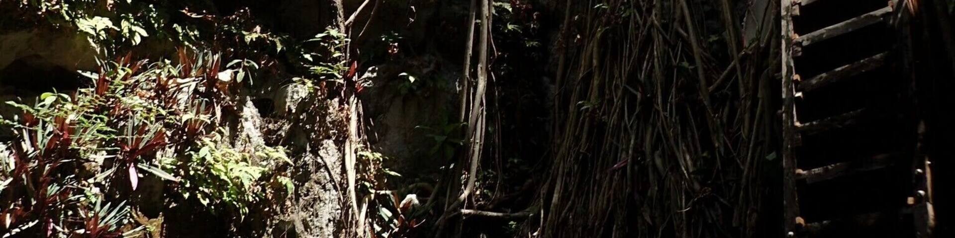 Los Cenotes de HomĂșn
There are a lot of different Cenotes around HomĂșn. You can take tuk-tuks from one Cenote to another and enjoy the cool waters of the caves. Some are open-air, some enclosed; just pick whatever you prefer.