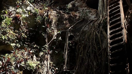 Los Cenotes de HomĂșn
There are a lot of different Cenotes around HomĂșn. You can take tuk-tuks from one Cenote to another and enjoy the cool waters of the caves. Some are open-air, some enclosed; just pick whatever you prefer.