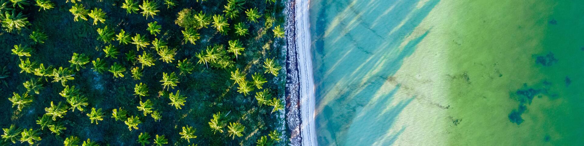 An aerial view of a beach with dense green vegetation and clear turquoise waters.