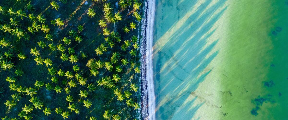 An aerial view of a beach with dense green vegetation and clear turquoise waters.