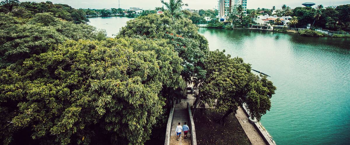 A river with a bridge, dense greenery, and buildings in the background.