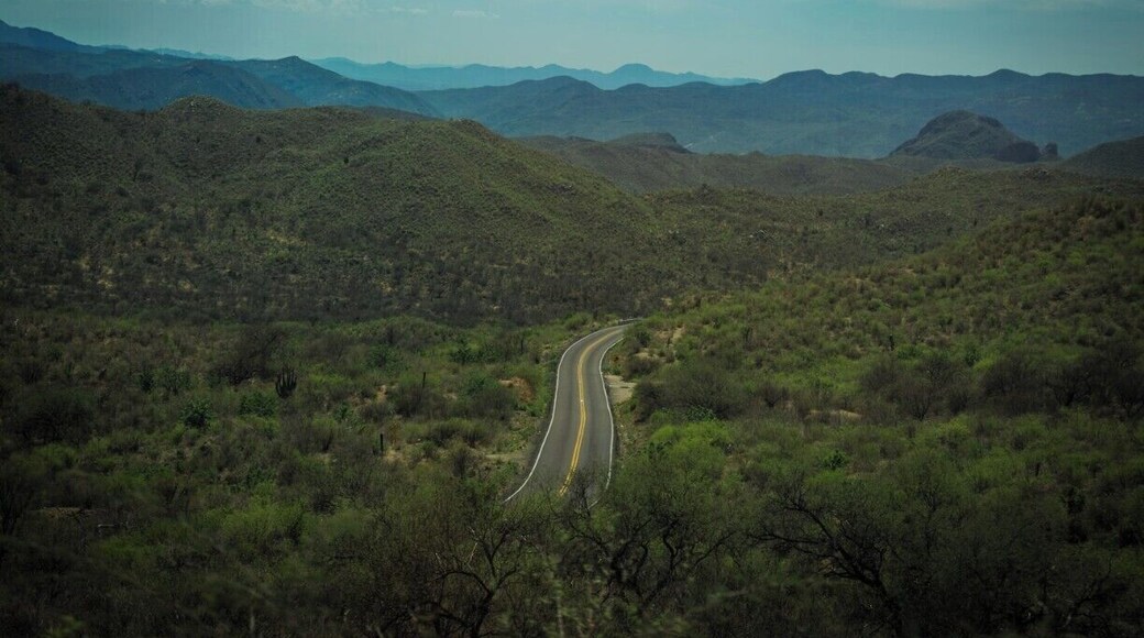 As you drive through the Sierra Sonorense, the road can sometimes get lost behind the mountains.