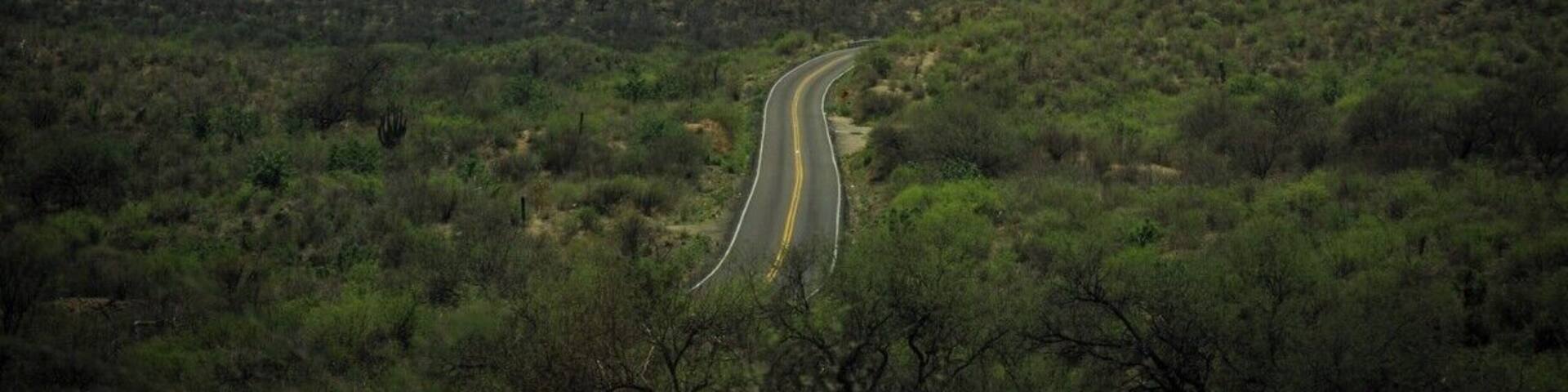As you drive through the Sierra Sonorense, the road can sometimes get lost behind the mountains.