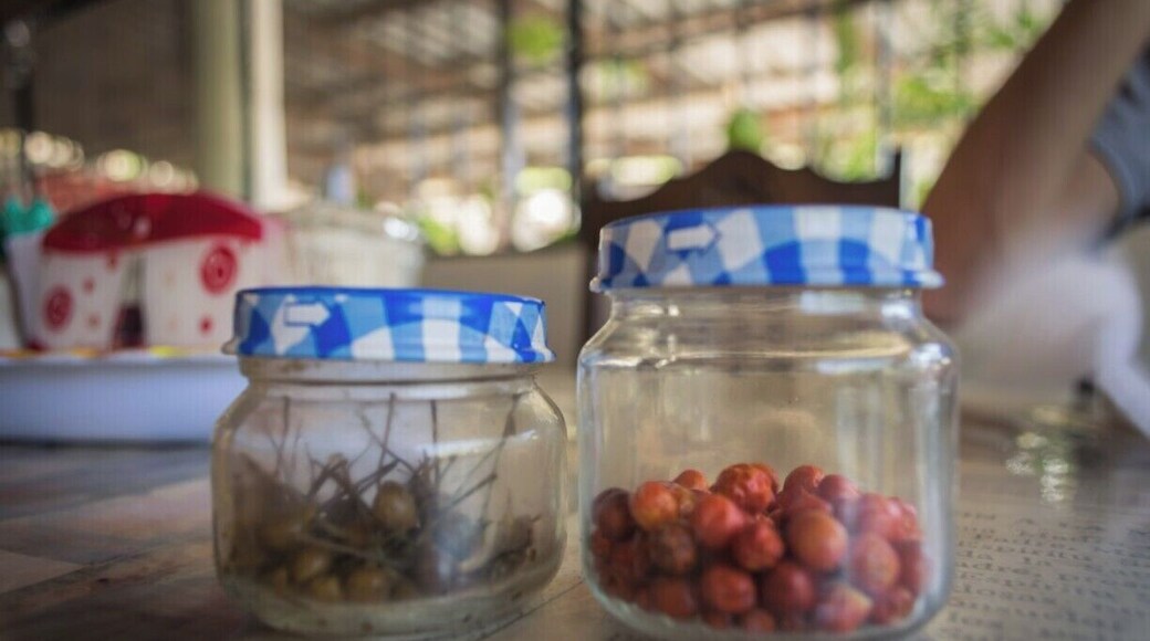 Chiltepín chilli is another typical ingredient from the desertic parts of Mexico.
It only grows under the shade of a tree, after it's seed has been processed by a bird's intestine.
You usually eat it fresh, dried or pickled.