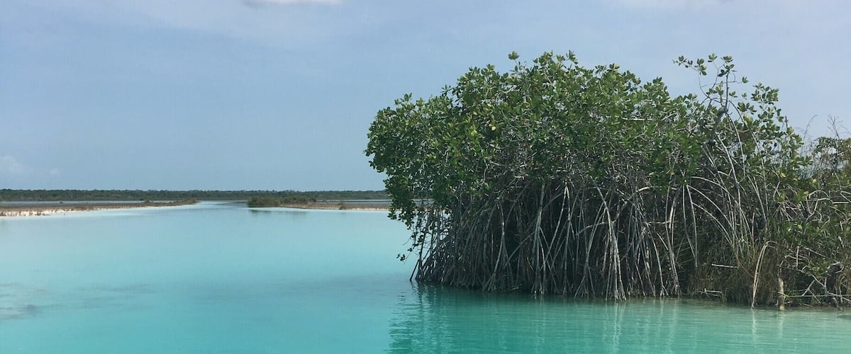 As nice it is to just chill in a hotel, lay out and soak in the sun - I recommend hiring a private boat tour to take you out to explore more of the lagoon. If you request the boat trip at Akal Ki your guide will provide you with Coronitas (Small Coronas), and an expedition of a lifetime. #LifeAtExpedia