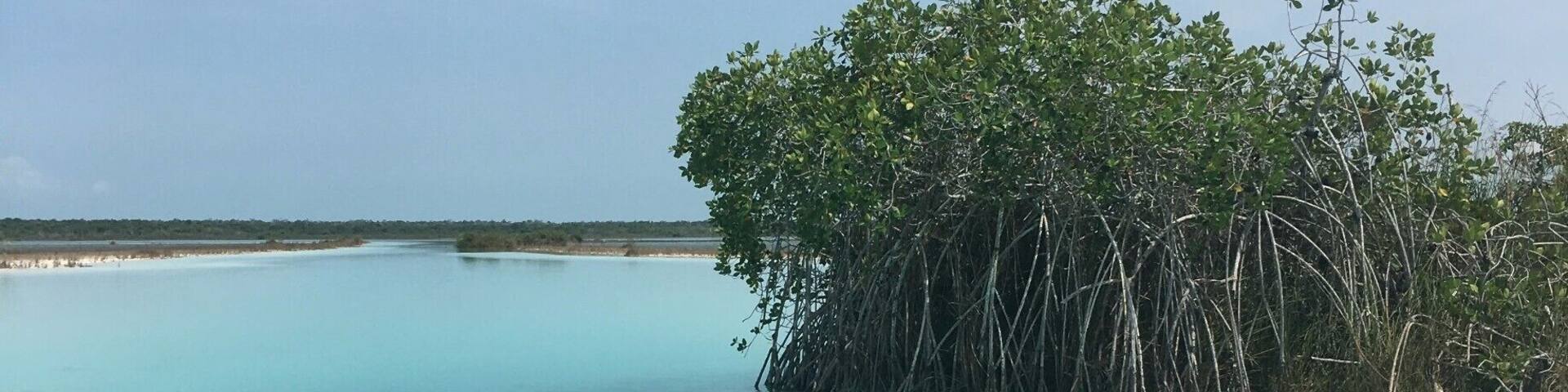 As nice it is to just chill in a hotel, lay out and soak in the sun - I recommend hiring a private boat tour to take you out to explore more of the lagoon. If you request the boat trip at Akal Ki your guide will provide you with Coronitas (Small Coronas), and an expedition of a lifetime. #LifeAtExpedia
