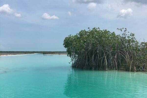 As nice it is to just chill in a hotel, lay out and soak in the sun - I recommend hiring a private boat tour to take you out to explore more of the lagoon. If you request the boat trip at Akal Ki your guide will provide you with Coronitas (Small Coronas), and an expedition of a lifetime. #LifeAtExpedia