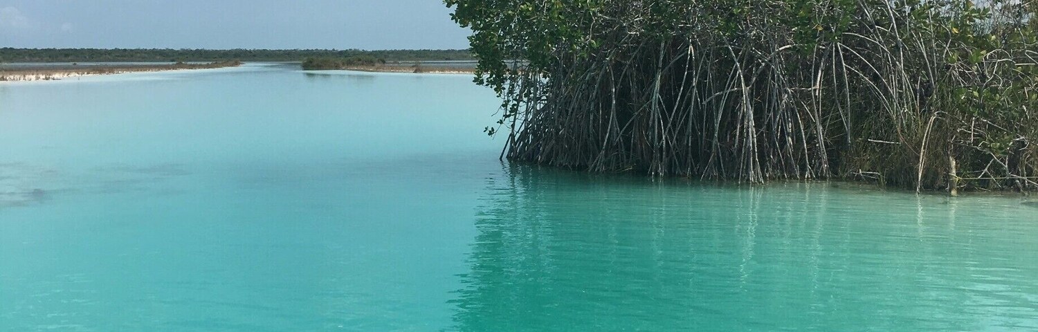 As nice it is to just chill in a hotel, lay out and soak in the sun - I recommend hiring a private boat tour to take you out to explore more of the lagoon. If you request the boat trip at Akal Ki your guide will provide you with Coronitas (Small Coronas), and an expedition of a lifetime. #LifeAtExpedia