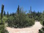 Entrance to “Jardín Botánico Helia Bravo” a truly amazing space to view desert landscapes. Highly recommend!