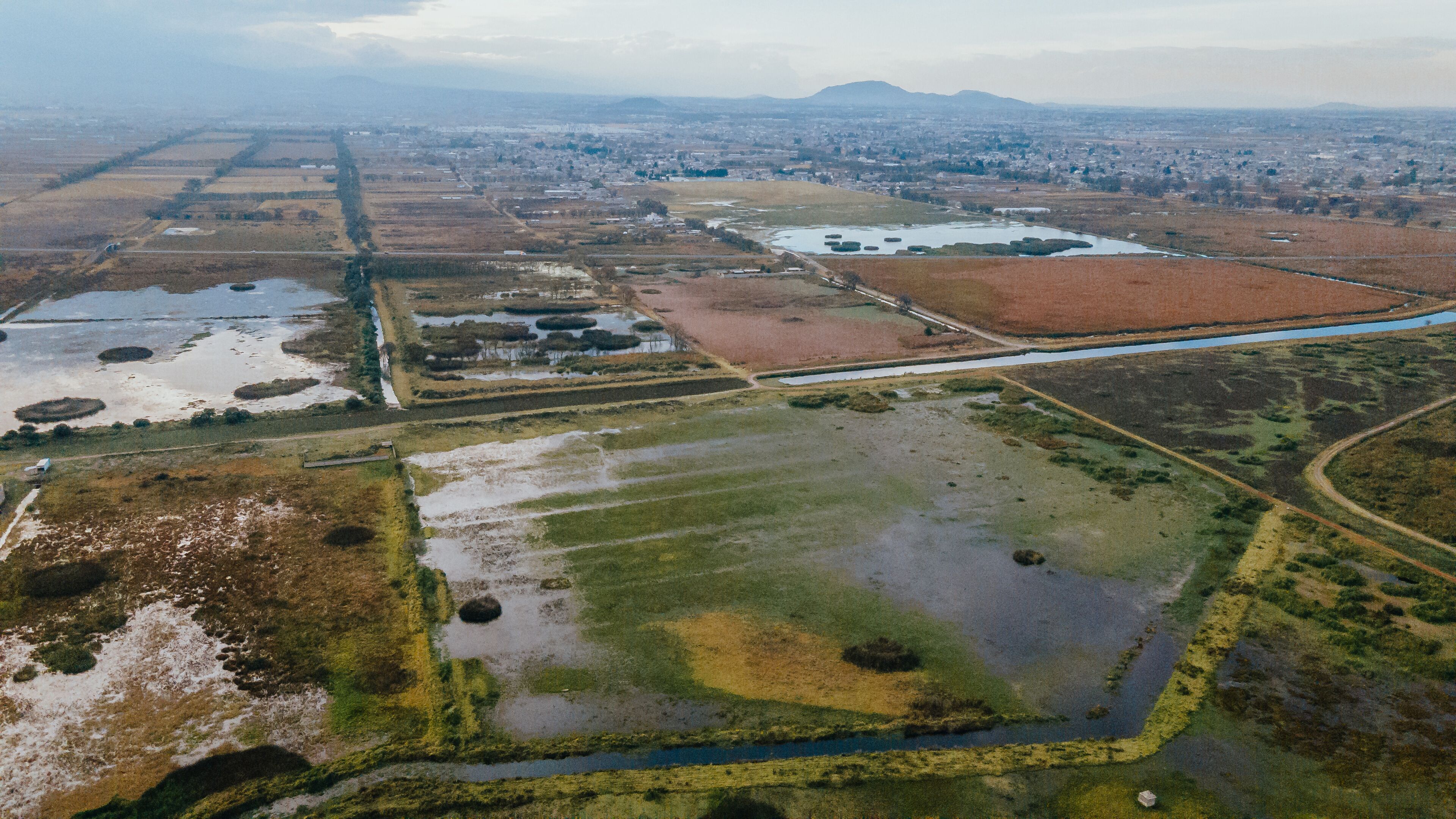 An aerial view of a wetland area with water bodies, patches of vegetation, and a distant cityscape.