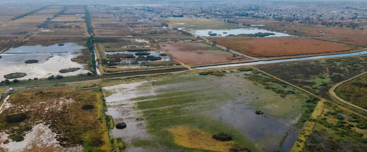 An aerial view of a wetland area with water bodies, patches of vegetation, and a distant cityscape.