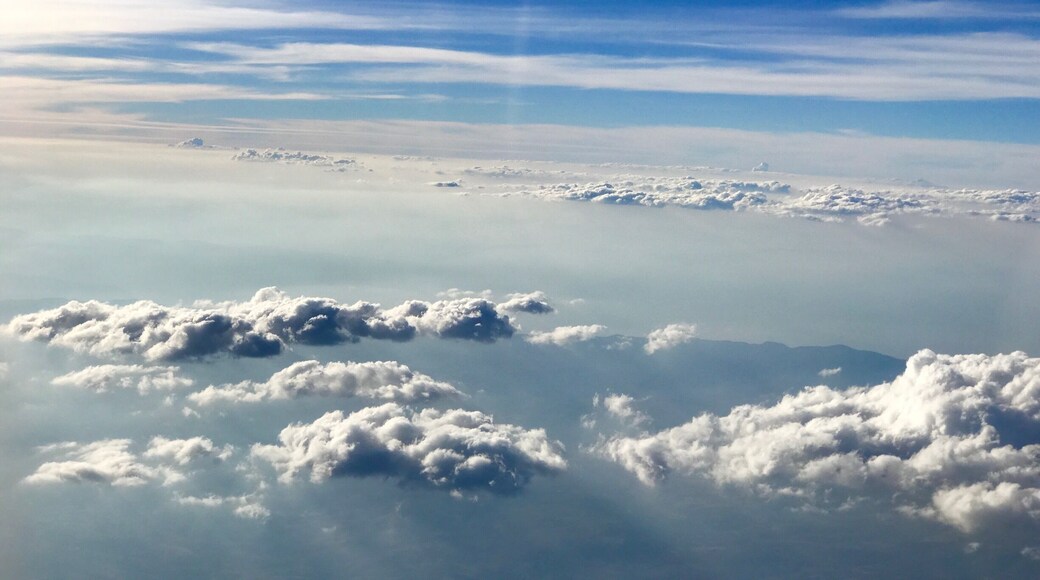 Flying the friendly skies