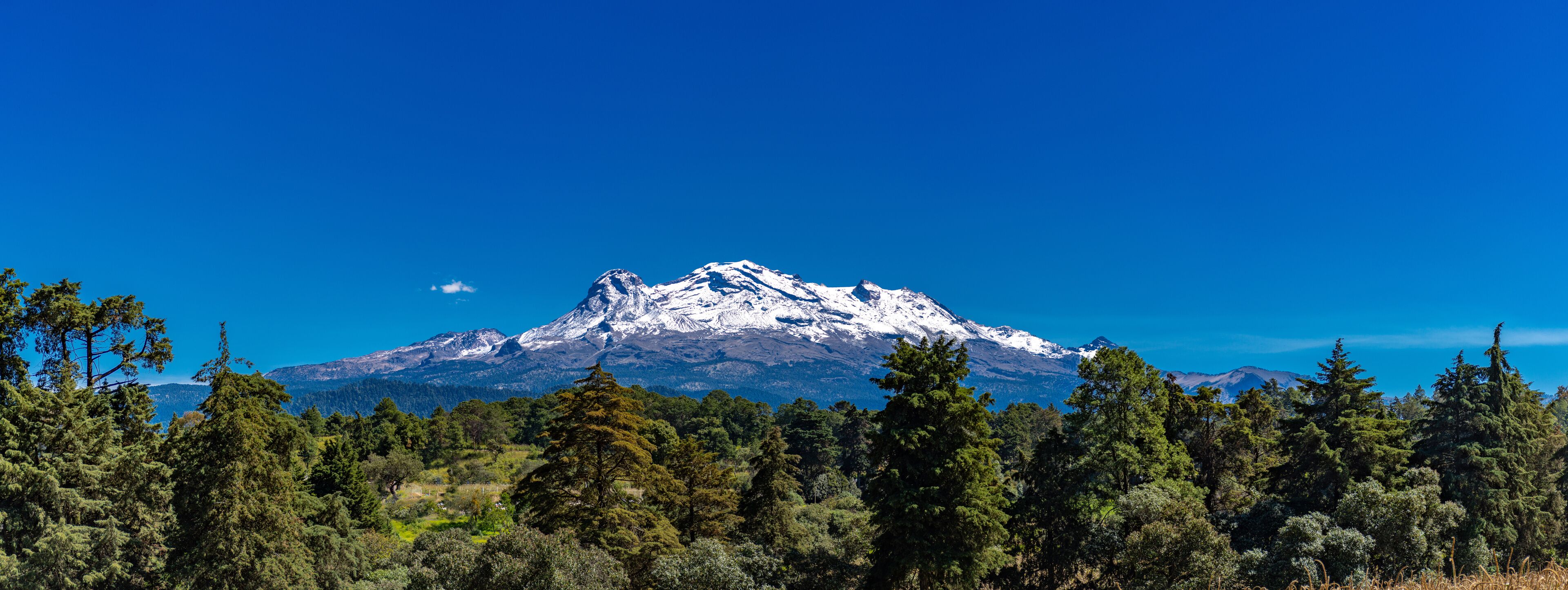 A snow-capped mountain with a clear blue sky and dense forest in the foreground.