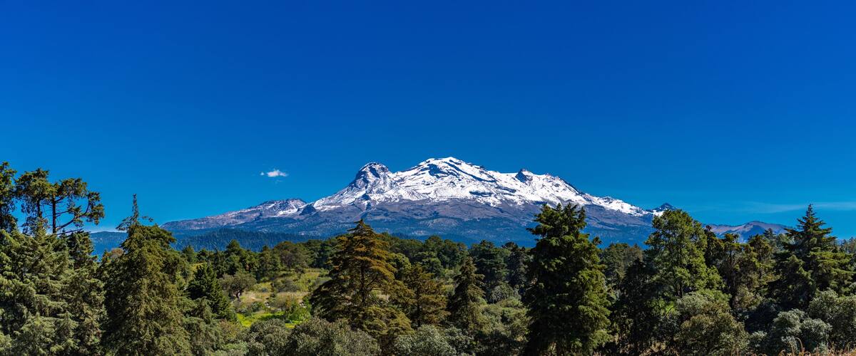A snow-capped mountain with a clear blue sky and dense forest in the foreground.