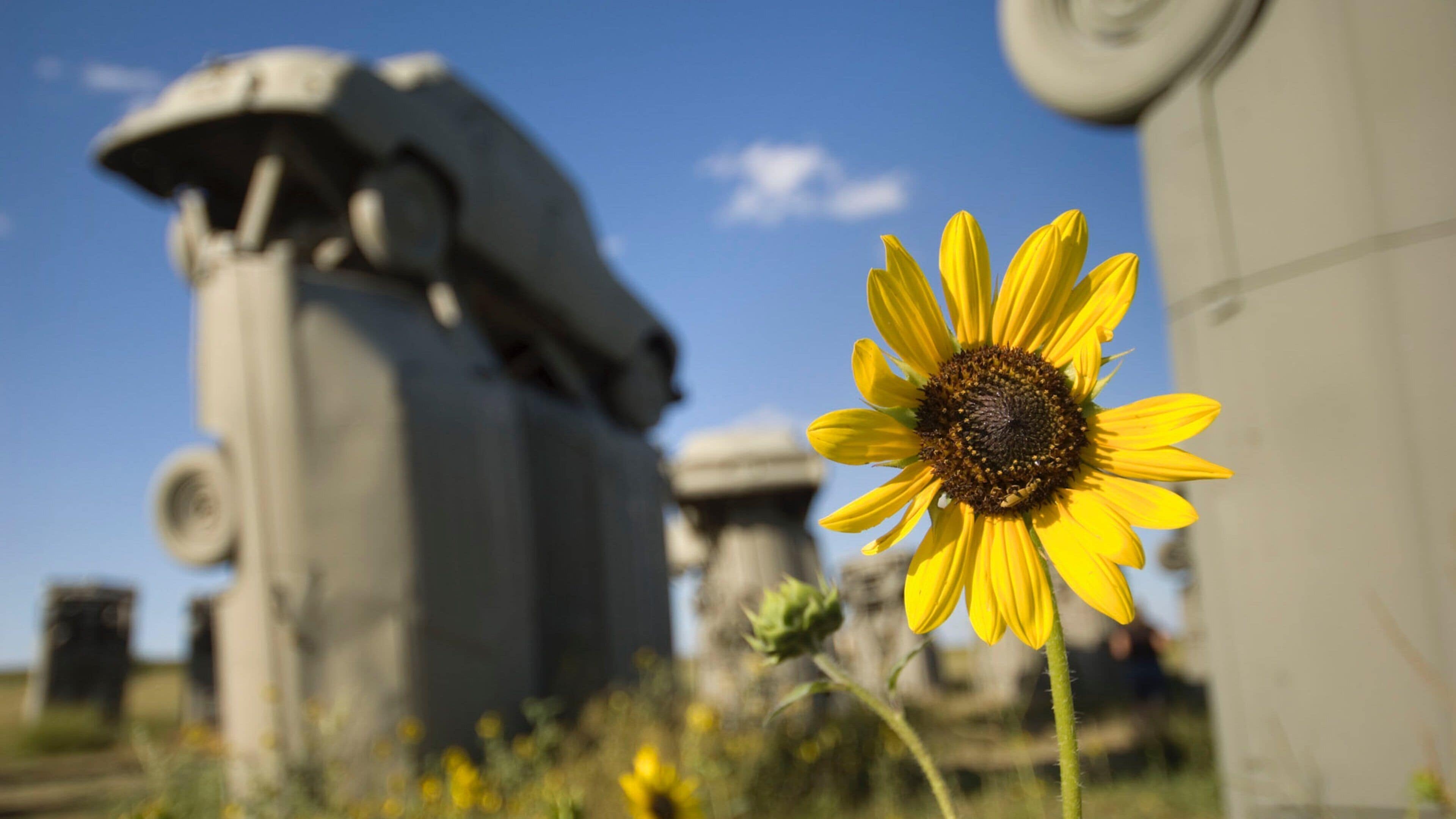 A sunflower in the foreground with a large sculpture in the background.