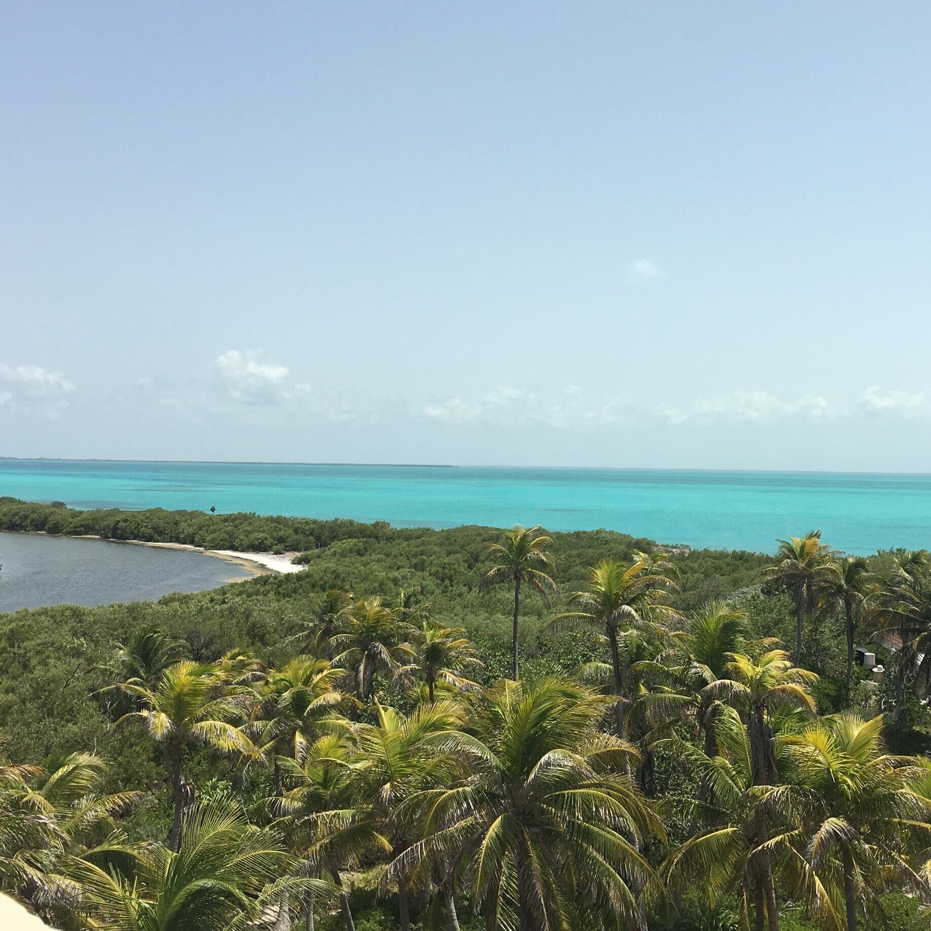 No sunscreen allowed! Protecting what little of the reefs that are left here, a small piece of untouched, protected beauty in the midst of a massive tourist area.  
