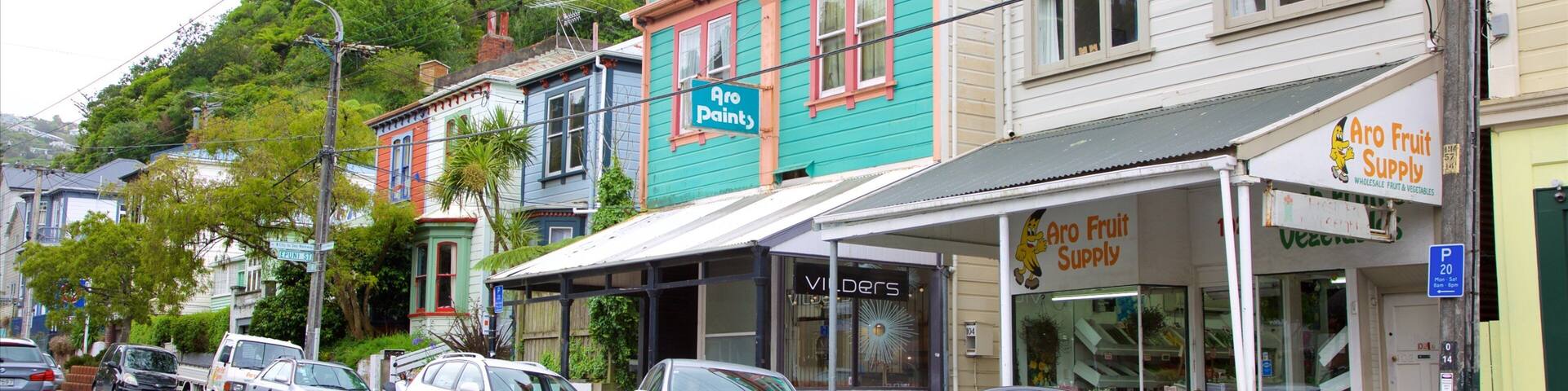 Wellington which includes heritage architecture and street scenes