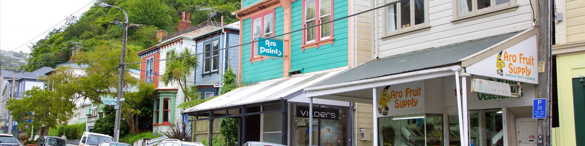 Wellington which includes heritage architecture and street scenes