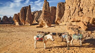 Sahara Desert, Tassili N'Ajjer, Algeria