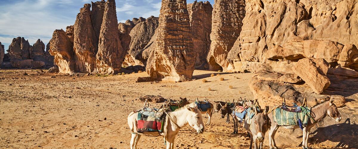 A desert landscape with rock formations and donkeys with saddles.