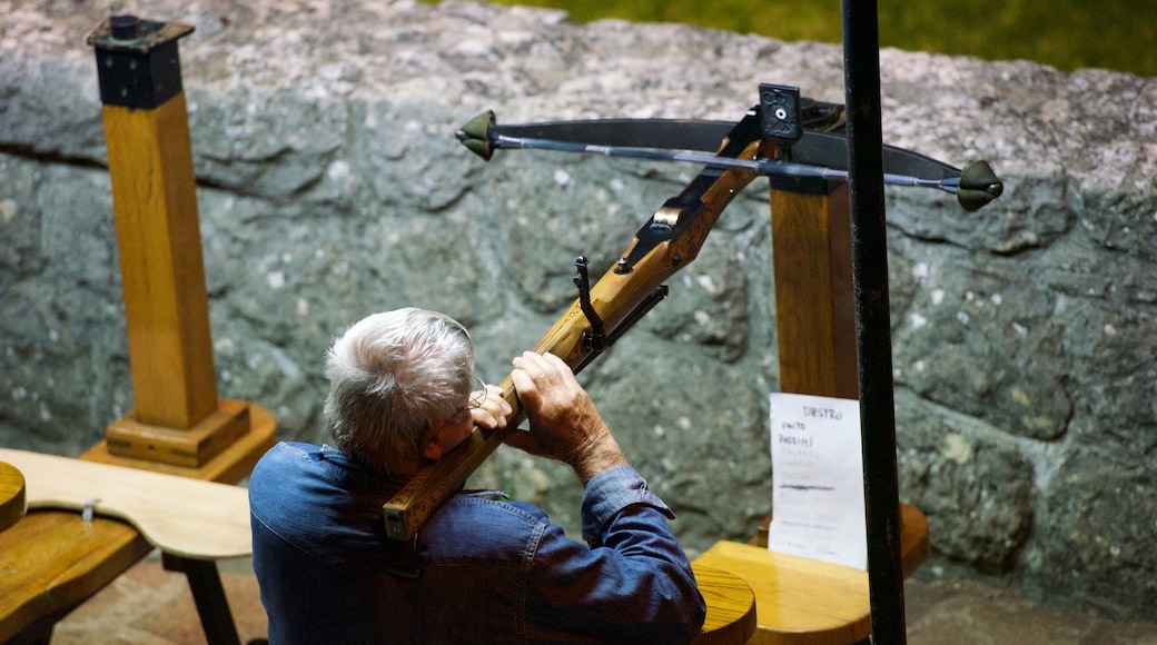 聖馬里諾 其中包括 懷舊元素, 表演藝術 和 節慶