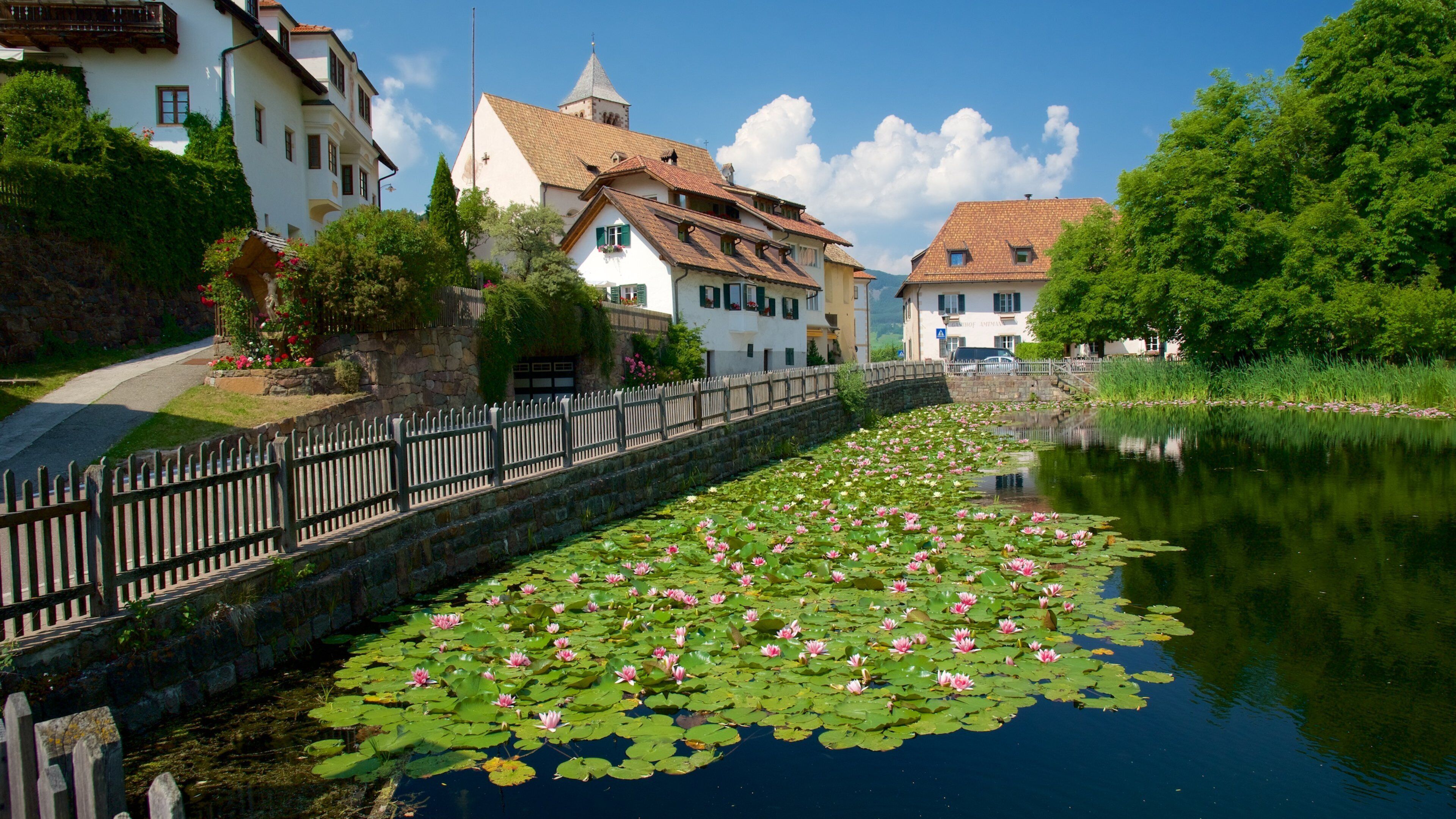 A canal with water lilies, a wooden fence, and traditional buildings with red roofs.