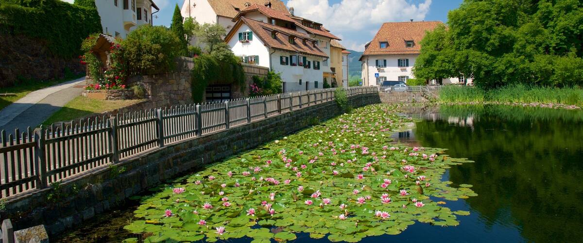 A canal with water lilies, a wooden fence, and traditional buildings with red roofs.