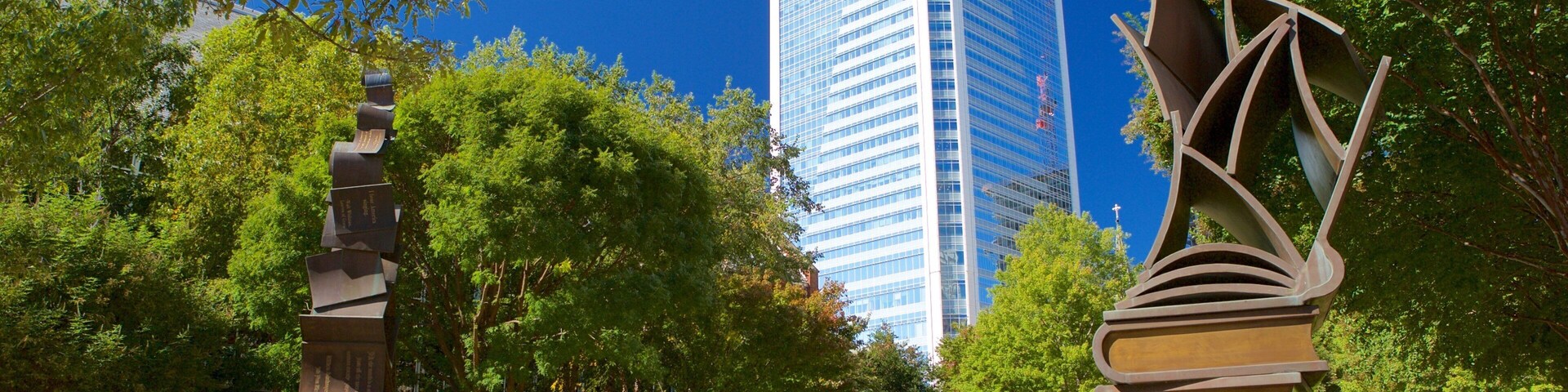 Charlotte mostrando uma cidade, arte ao ar livre e um edifício