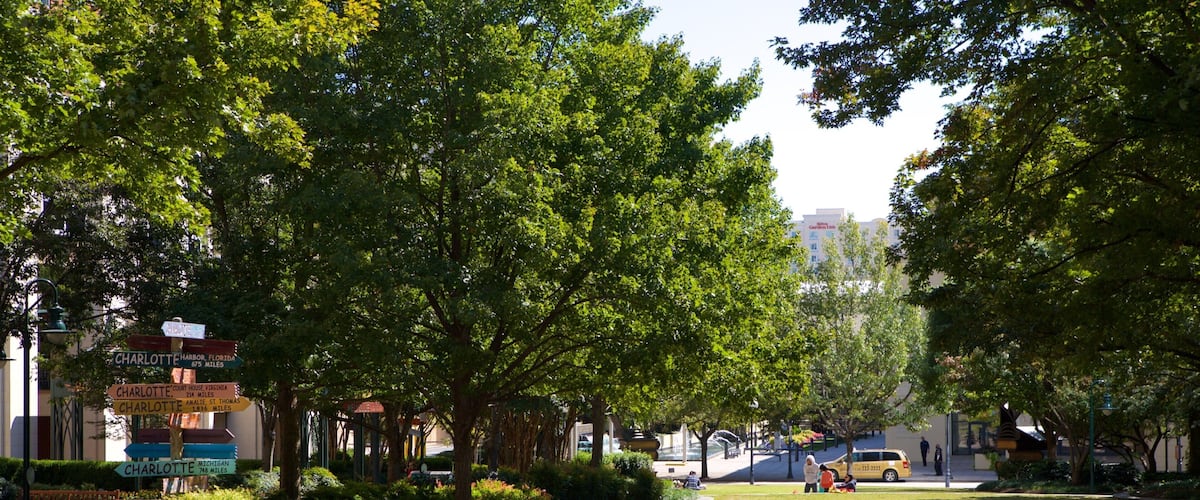 Charlotte which includes a garden