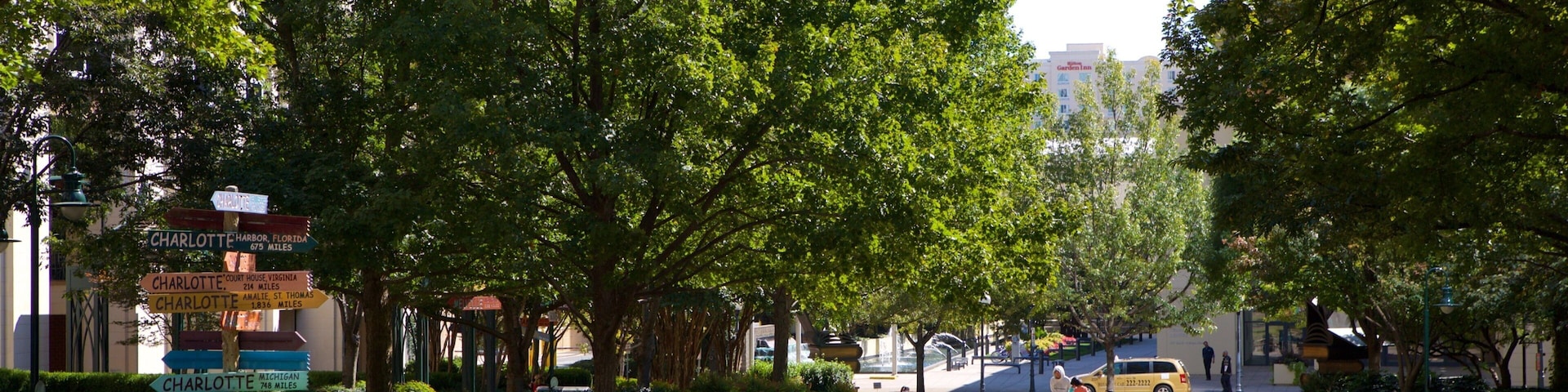 Charlotte qui includes parc