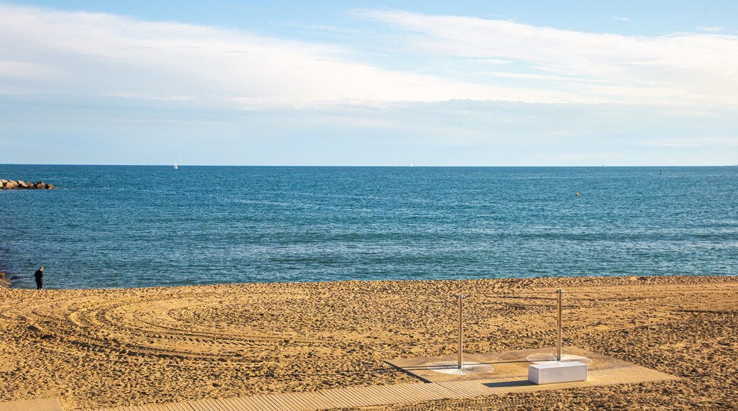 Llevant Beach which includes general coastal views and a sandy beach