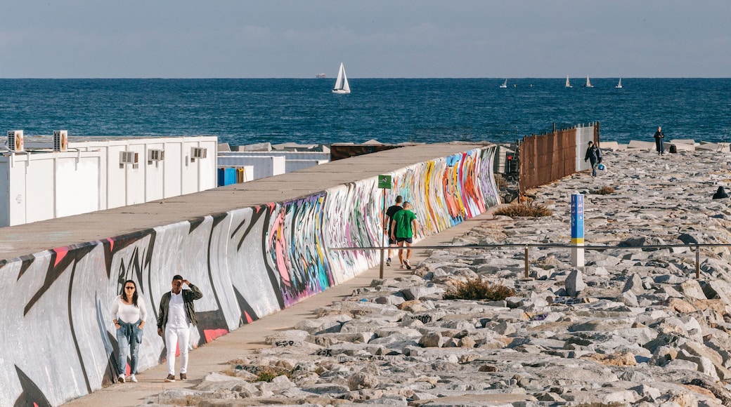 Llevant Beach which includes general coastal views and outdoor art