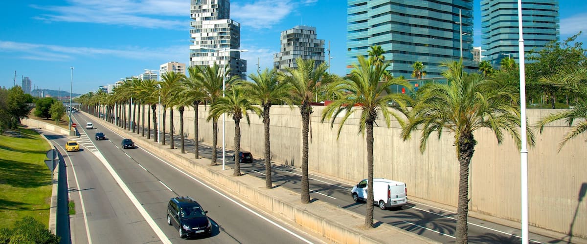 A city street lined with palm trees and modern buildings.