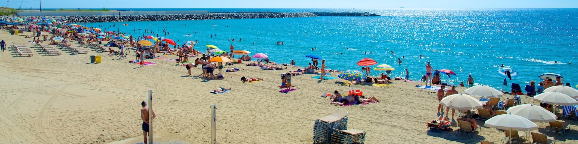 Barcelona featuring a beach as well as a large group of people