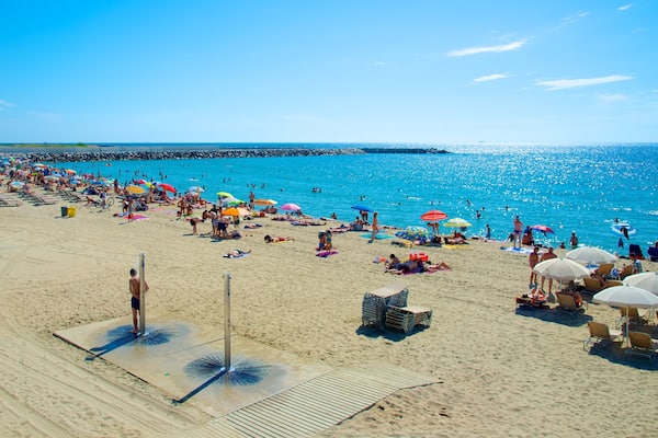 Barcelone montrant plage aussi bien que important groupe de personnes