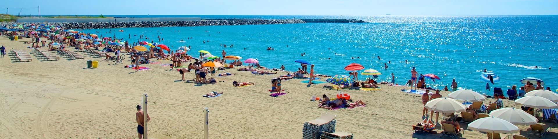 Barcelona mostrando una playa de arena y también un grupo grande de personas