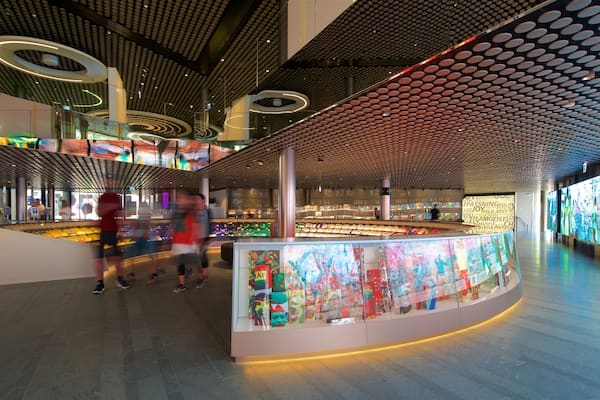 FIFA World Football Museum