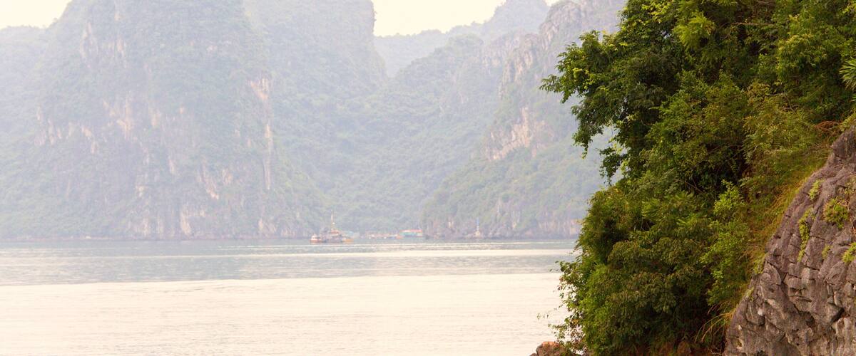 Halong Bay showing kayaking or canoeing, mist or fog and general coastal views