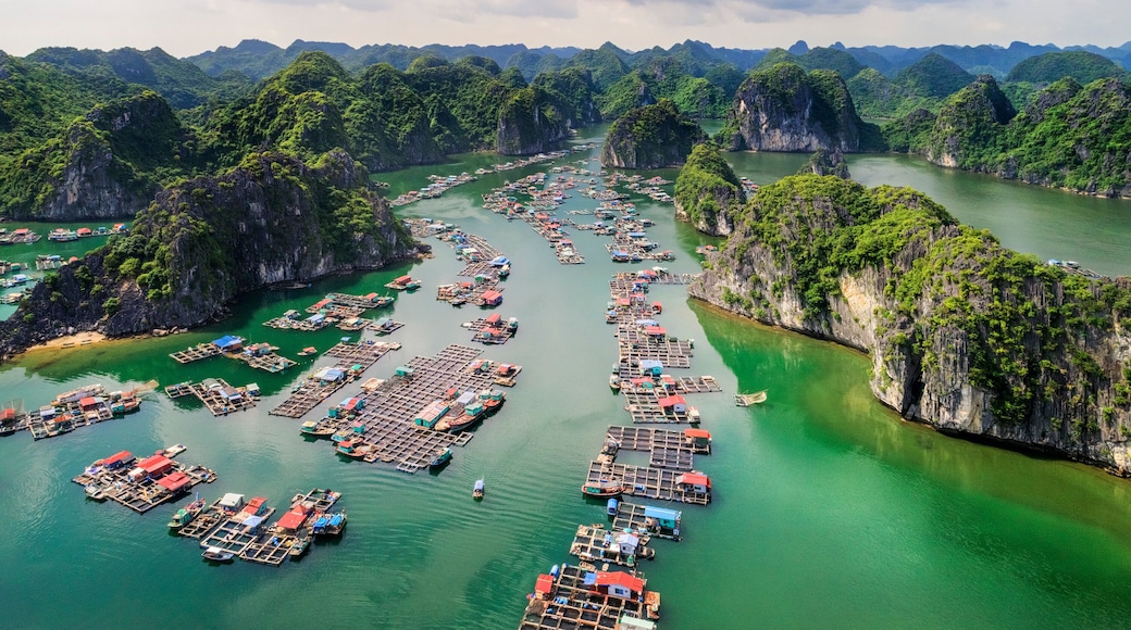 Cát Hải