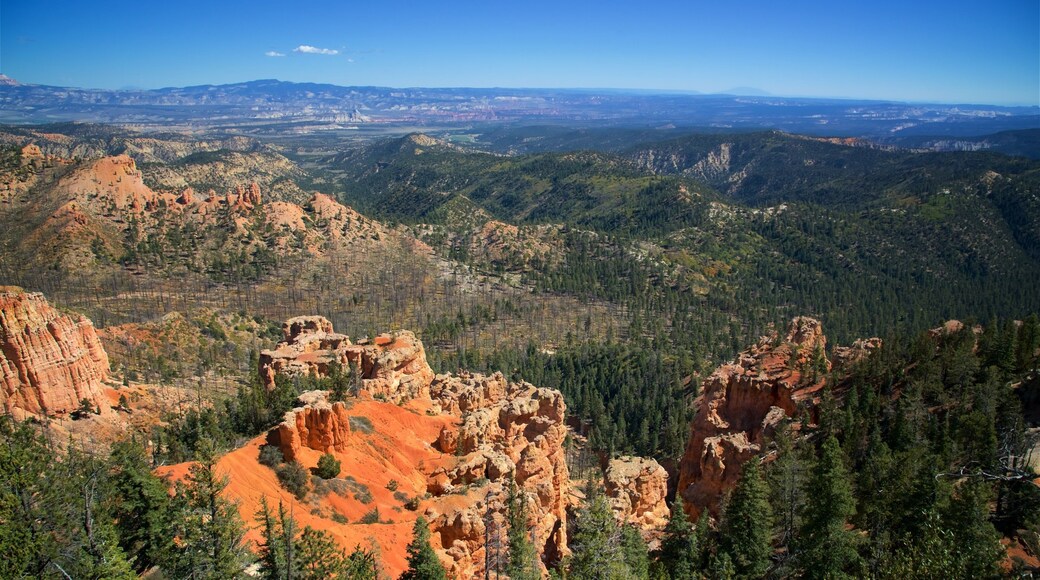 Parc national de Bryce Canyon qui includes gorge ou canyon, scÚnes tranquilles et vues du désert