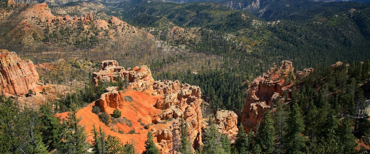 Bryce Canyon National Park which includes a gorge or canyon, desert views and tranquil scenes